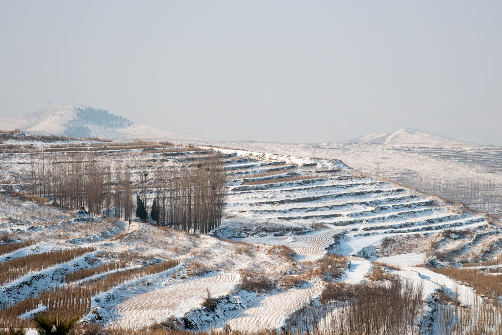 _DSC9126.jpg