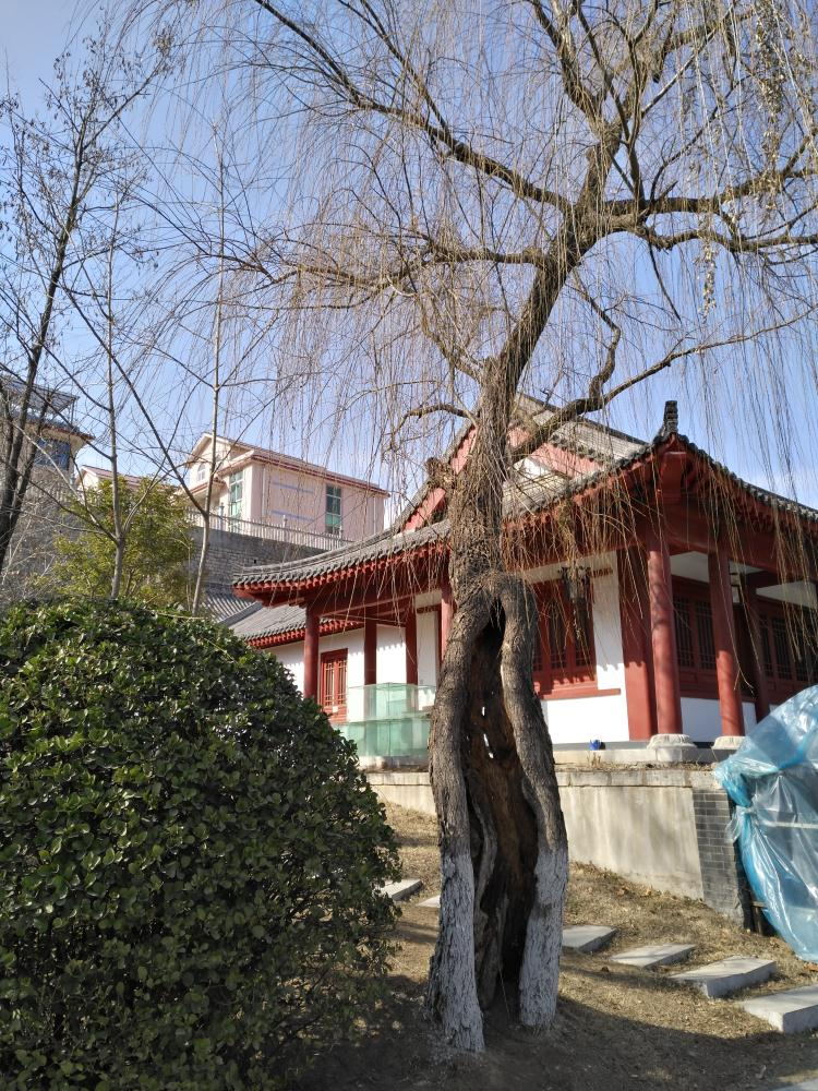 IMG_20170217_135609_ͼ.jpg