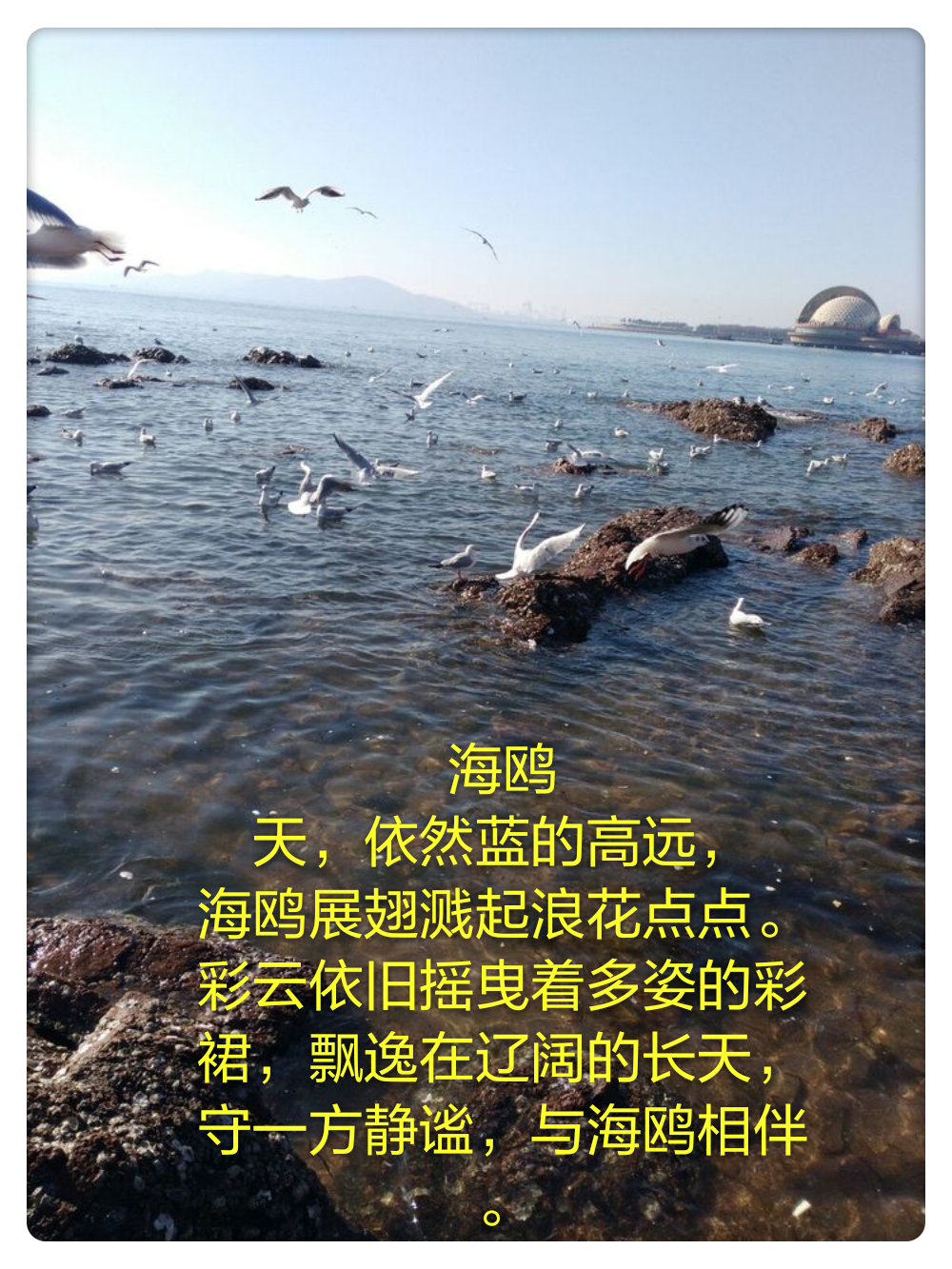mmexport1486117900905_mh1487470652499.jpg