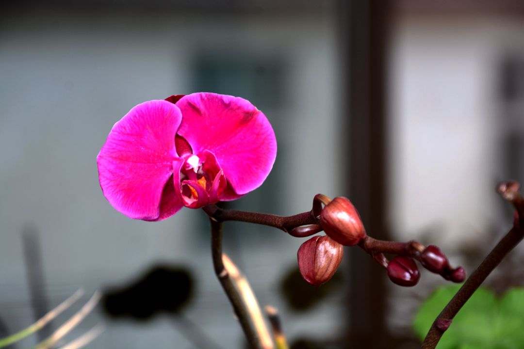 DSC_8792.JPG