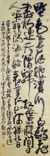 в-ţ