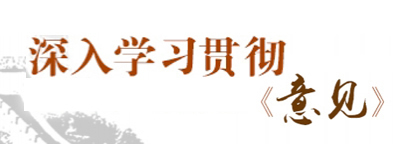 深入学习贯彻《意见》